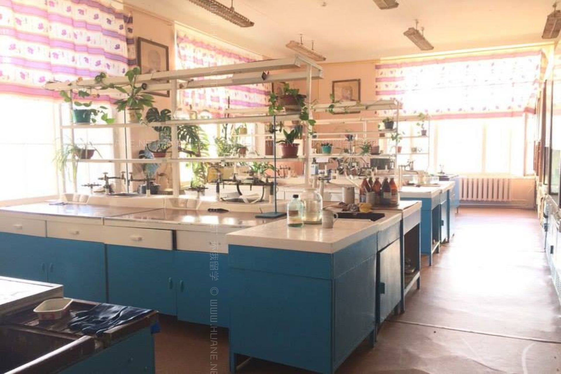 伊萬諾沃國立化工大學