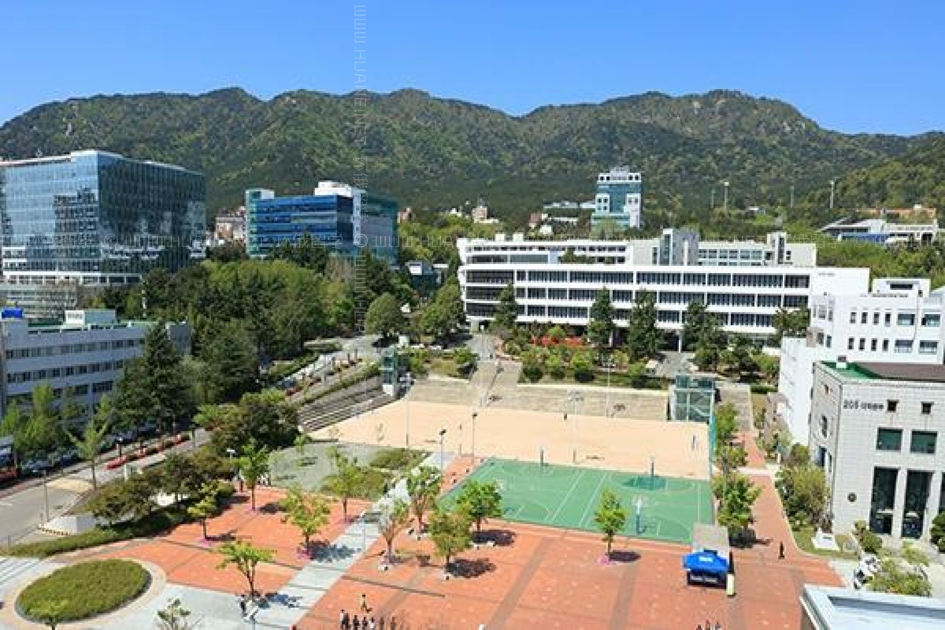釜山大學