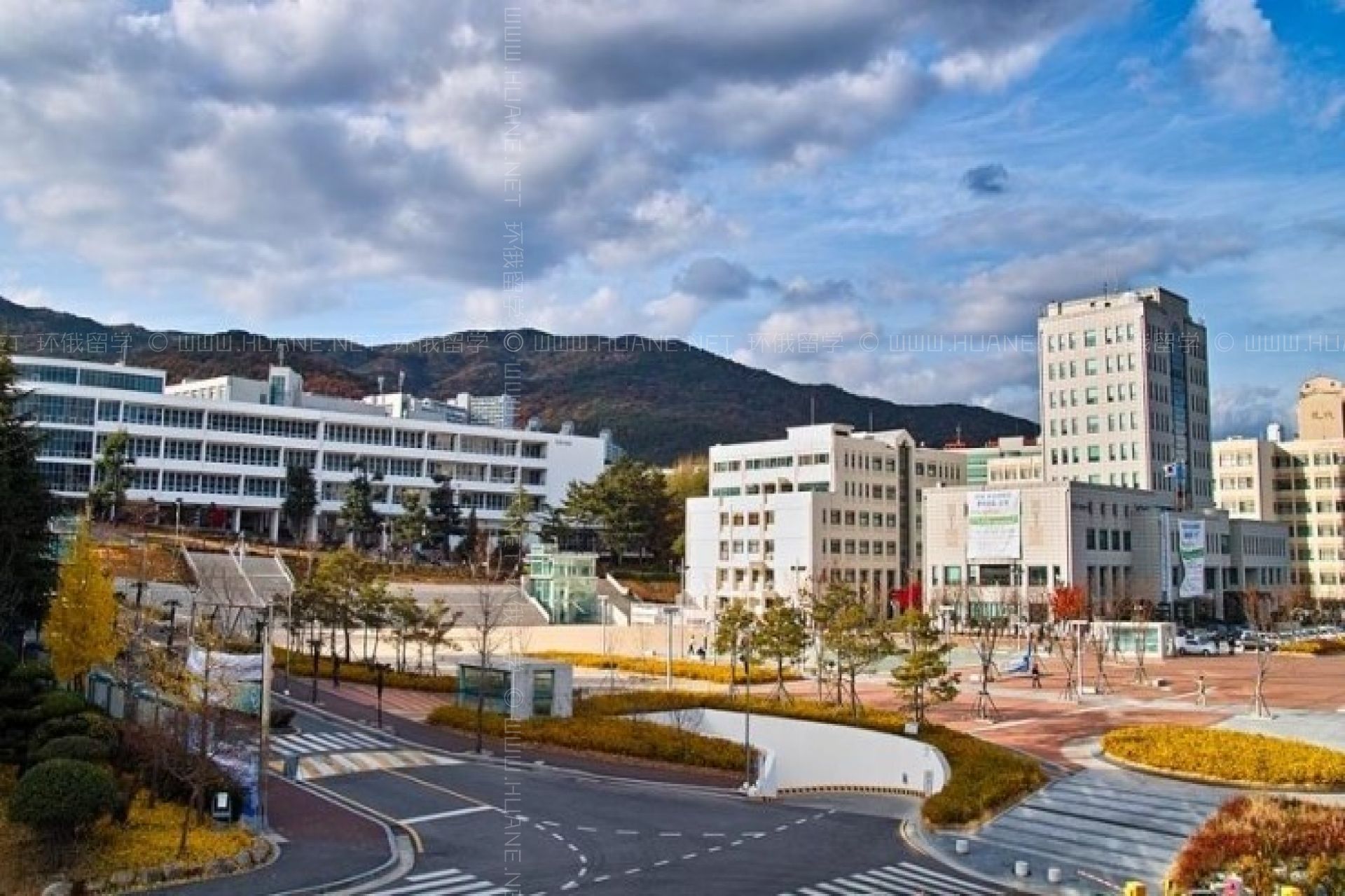 釜山大學