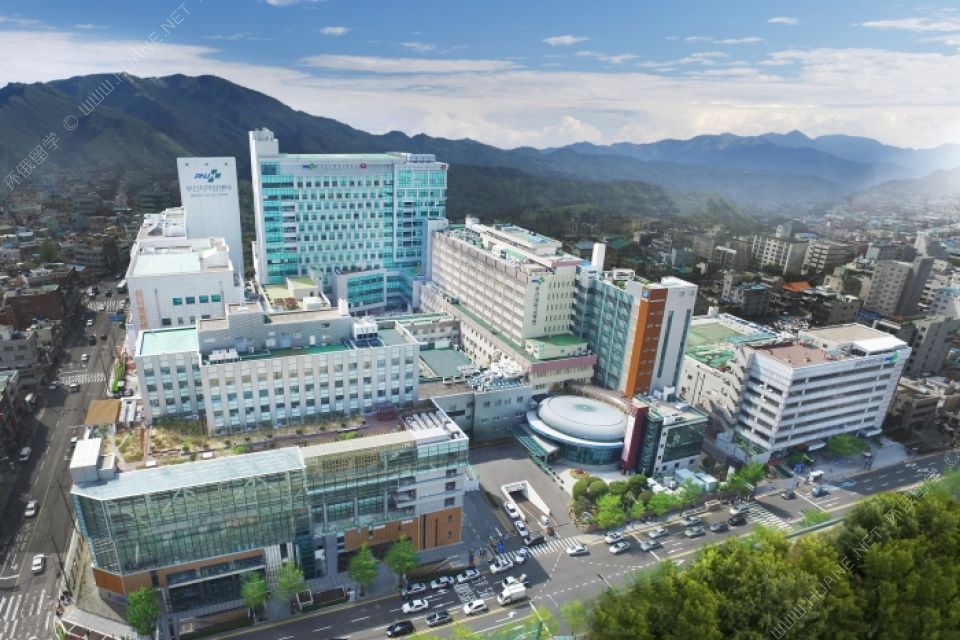 釜山大學