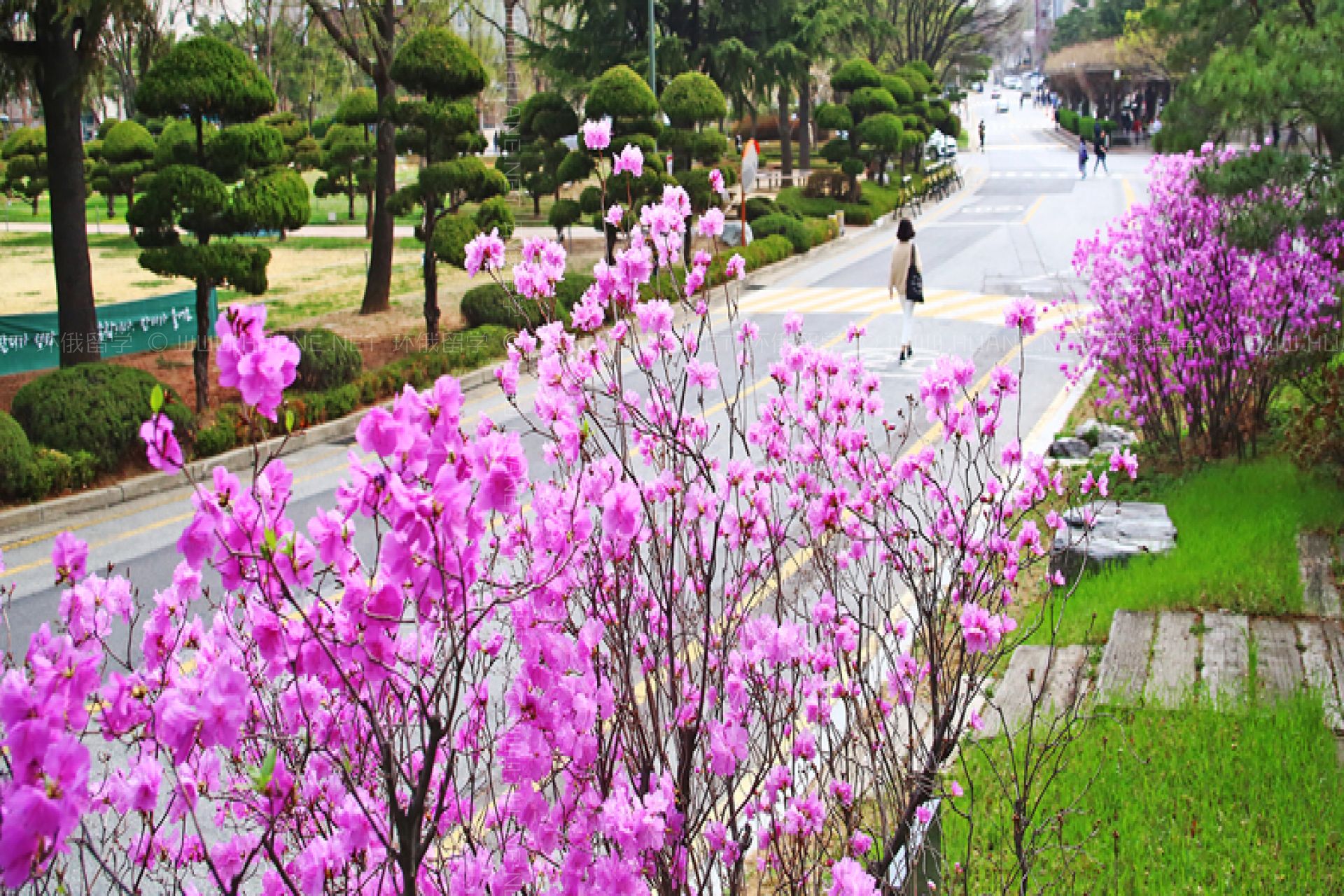 建國(guó)大學(xué)