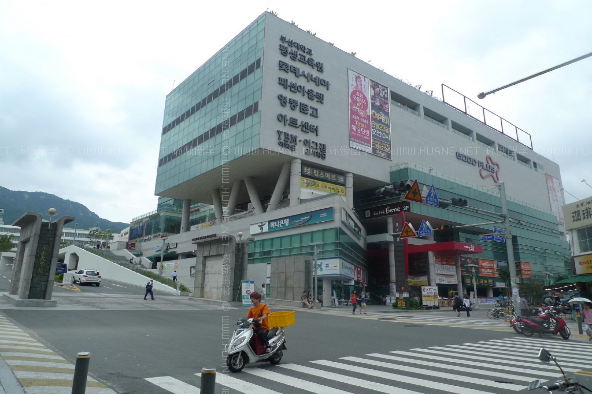 釜山大學
