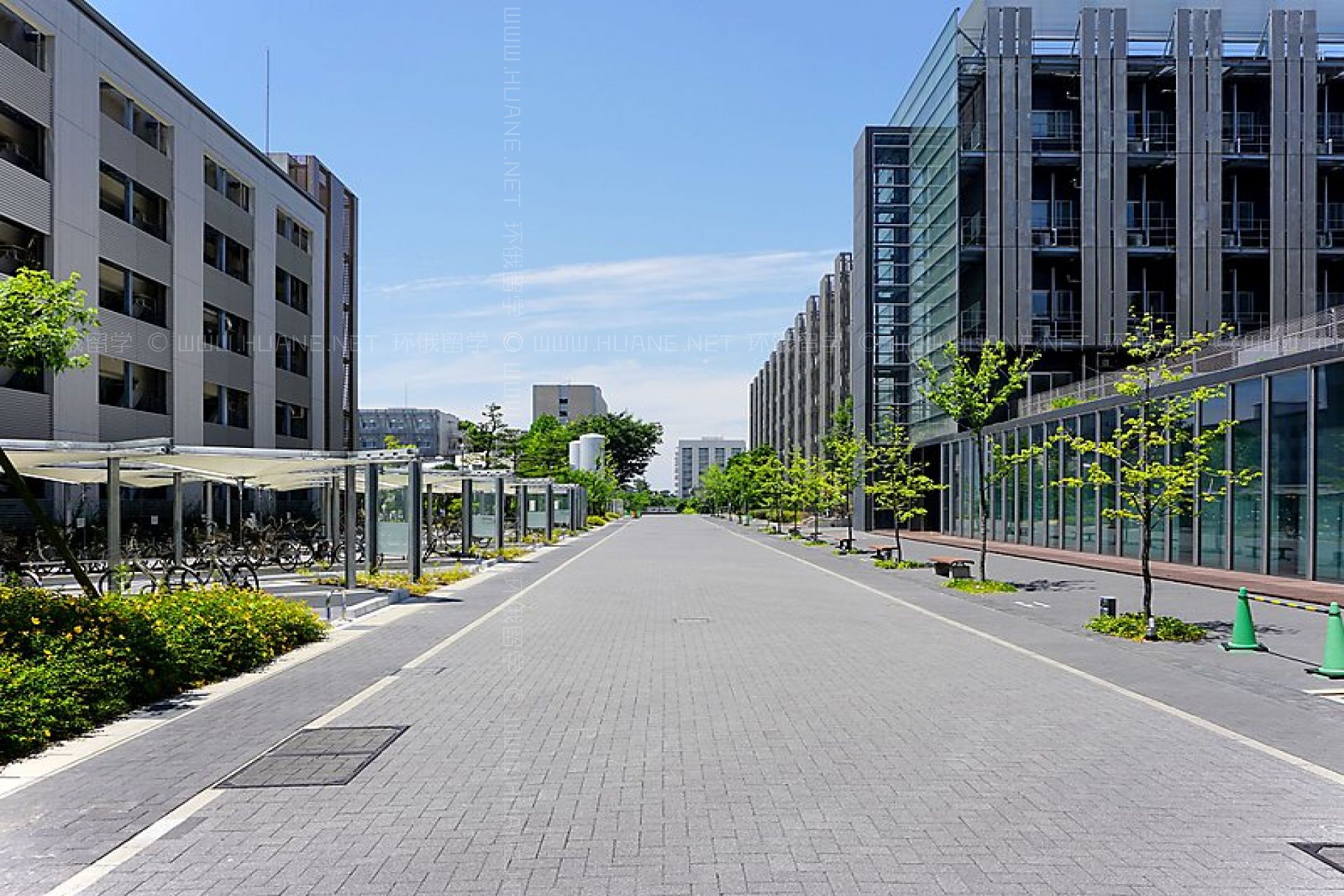 名古屋大學