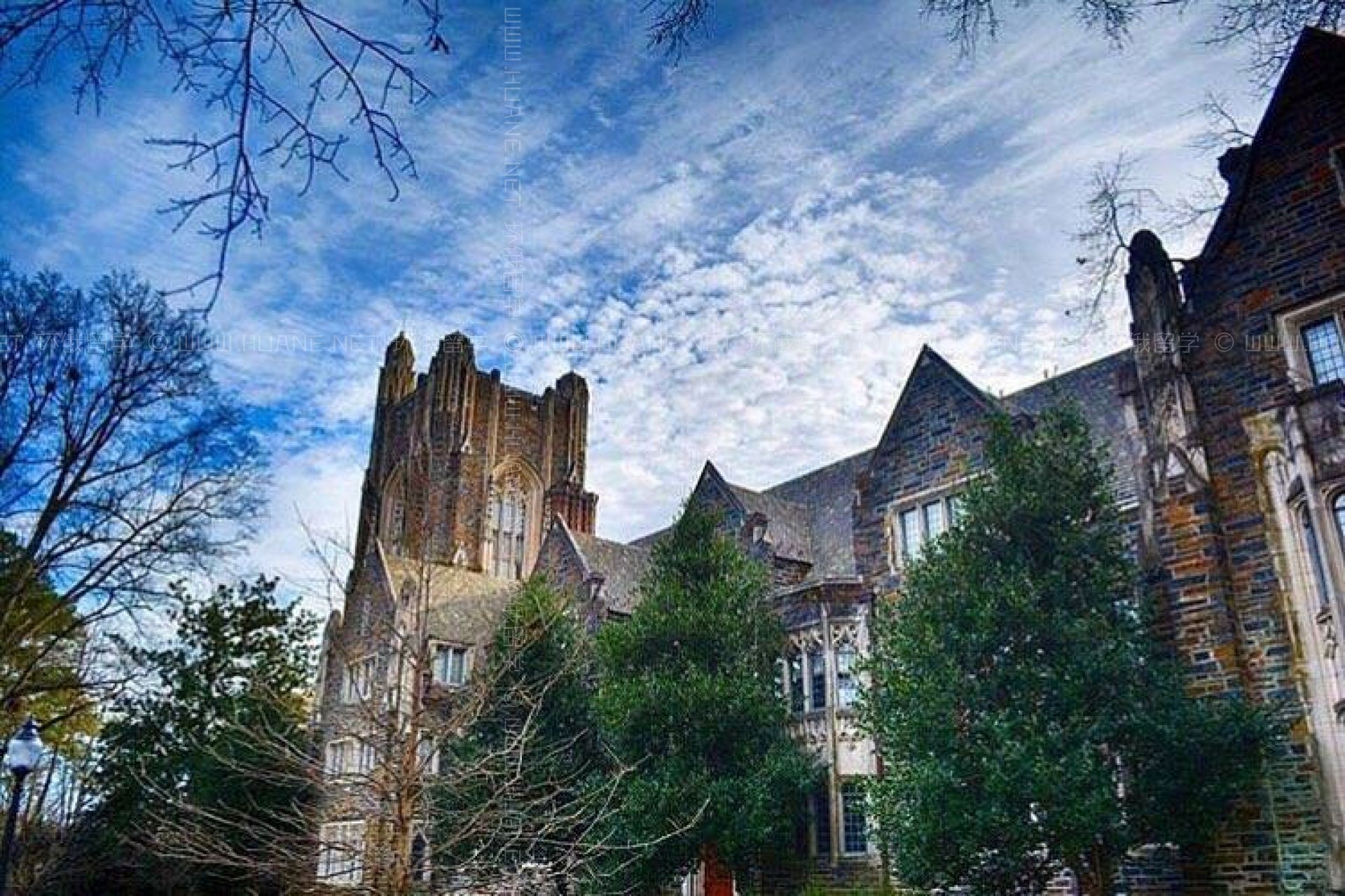 杜克大學