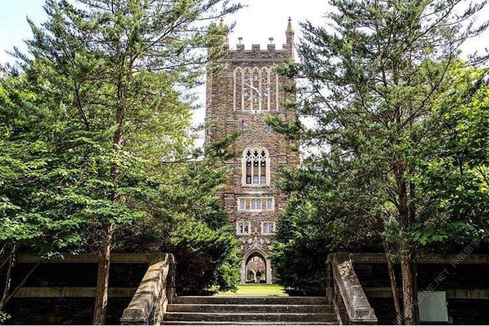 杜克大學