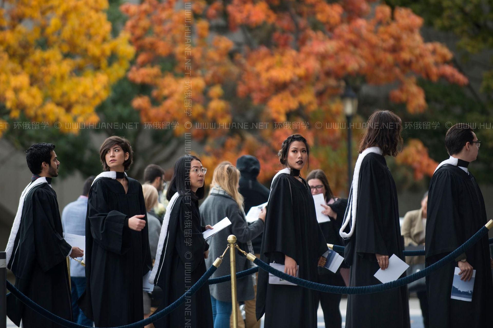 多倫多大學