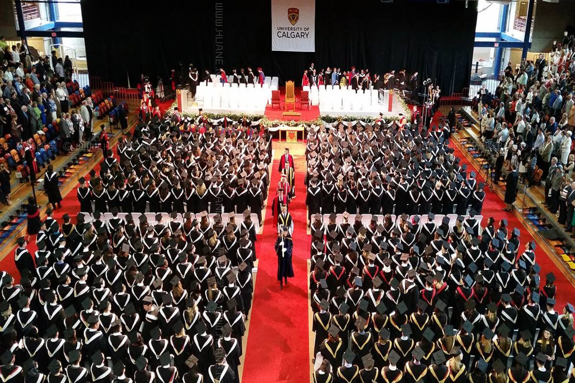 卡爾加里大學(xué)