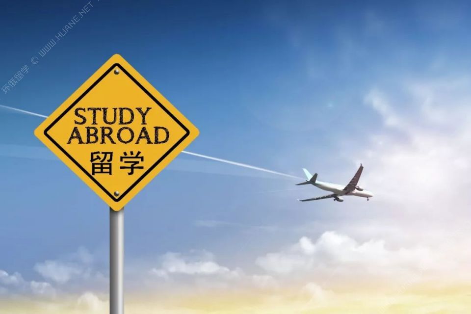 2019年留學中介公司如雨后春筍般激增的真正原因，深度剖析！