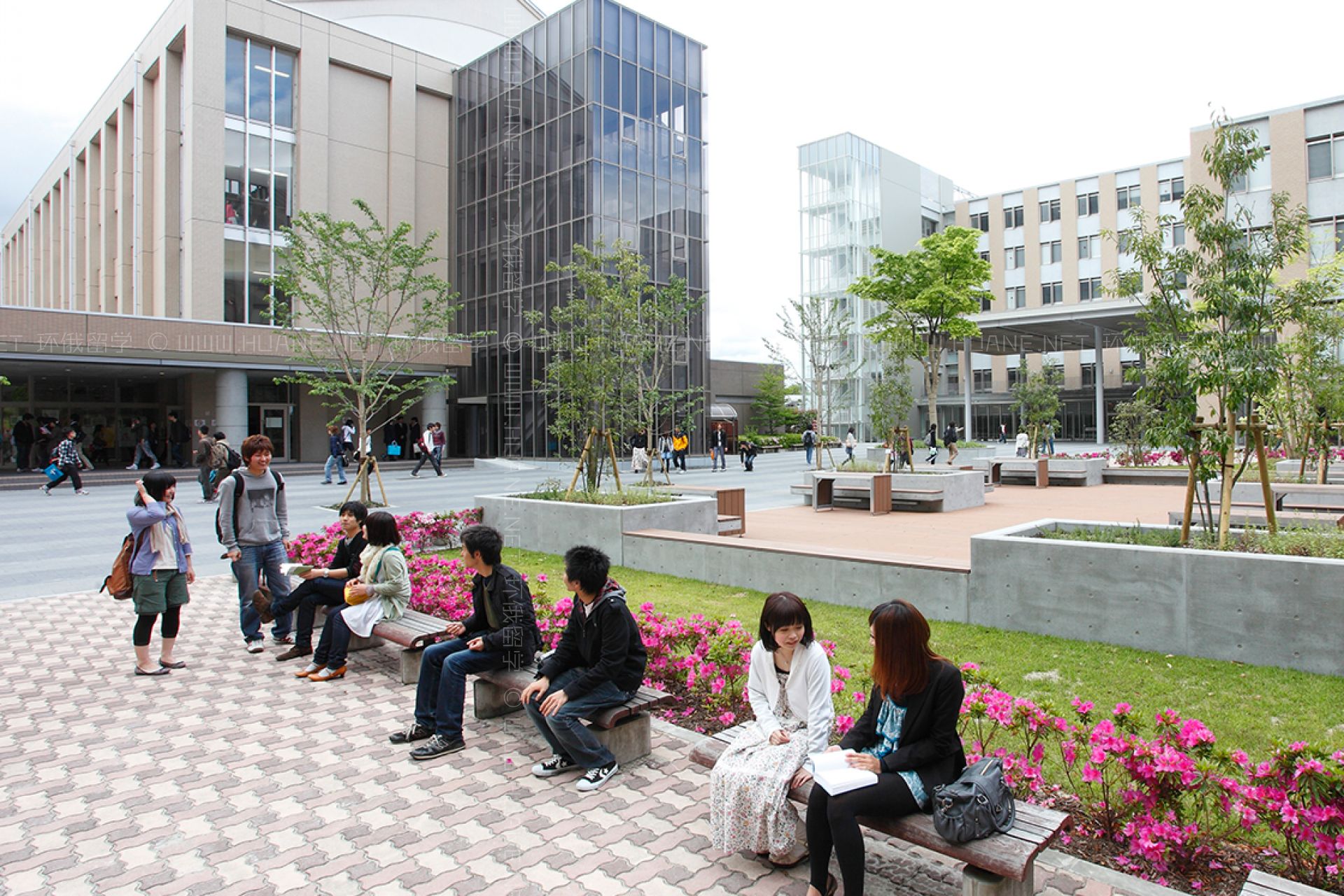立命館大學