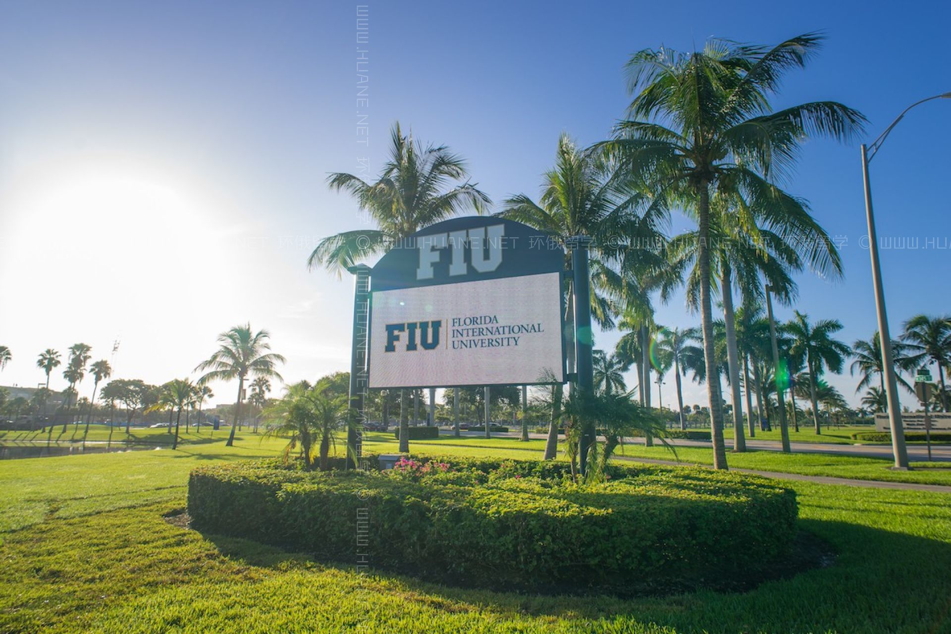 佛羅里達國際大學