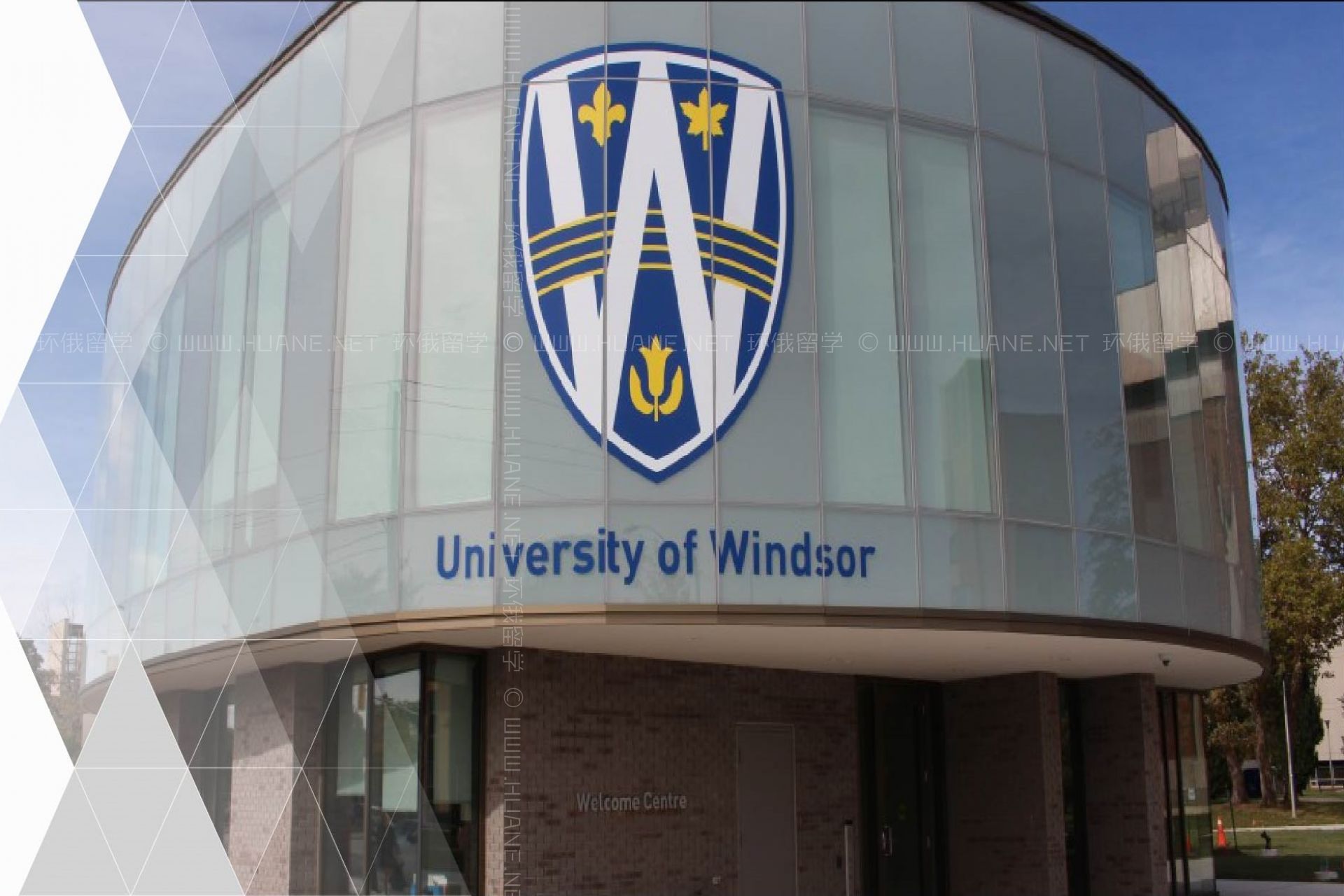 溫莎大學