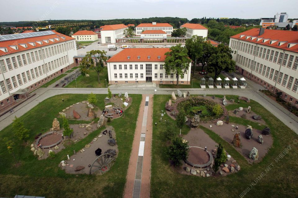 哈勒-維滕貝格大學